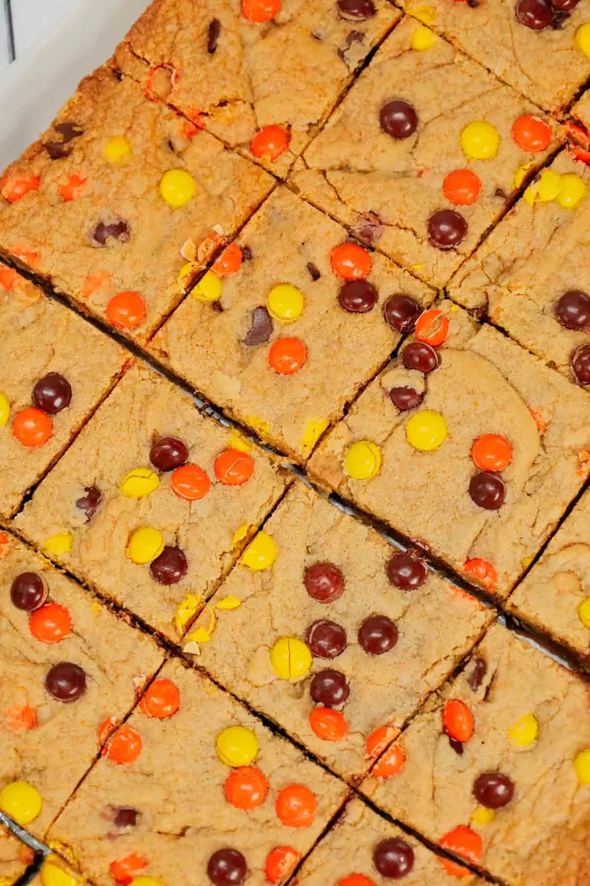 Peanut Butter Blondies are chewy peanut butter bars loaded with peanut butter baking chips, chocolate chips and mini Reese's pieces candies.