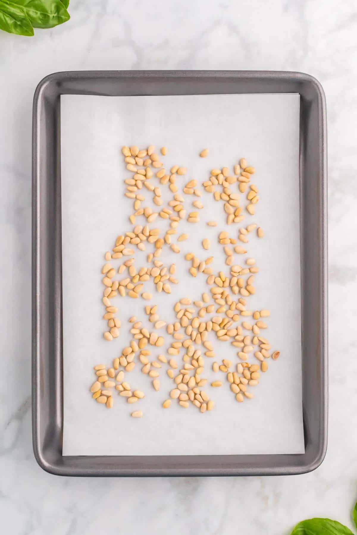 pine nuts on a parchment lined baking sheet