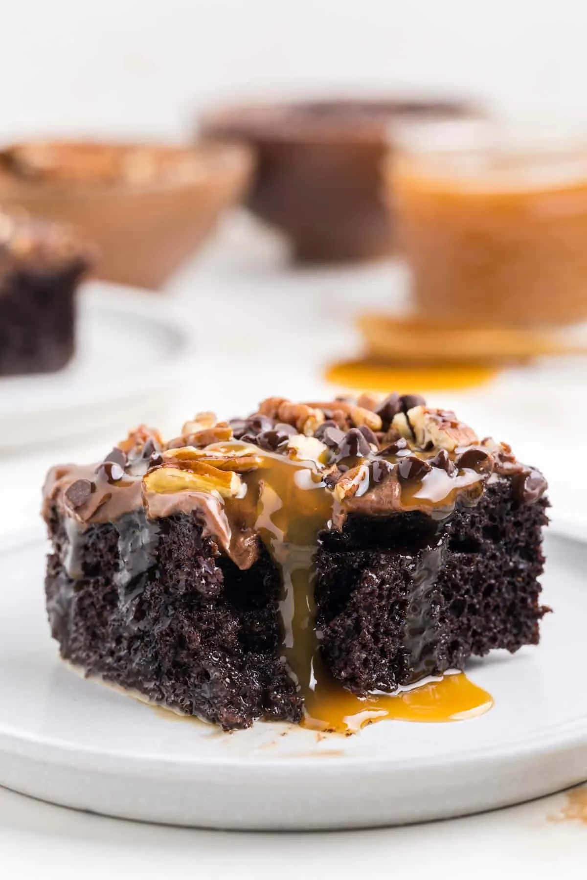 Turtle Poke Cake is a decadent chocolate cake filled with a caramel and condensed milk mixture and topped with chocolate frosting, chopped pecans and mini chocolate chips.