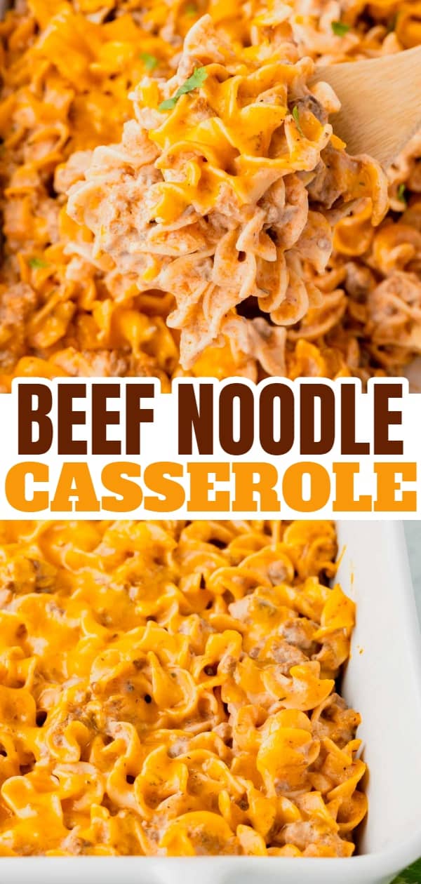 Beef Noodle Casserole is a hearty dish loaded with ground beef, egg noodles, cheddar cheese, sour cream and cream of mushroom soup.