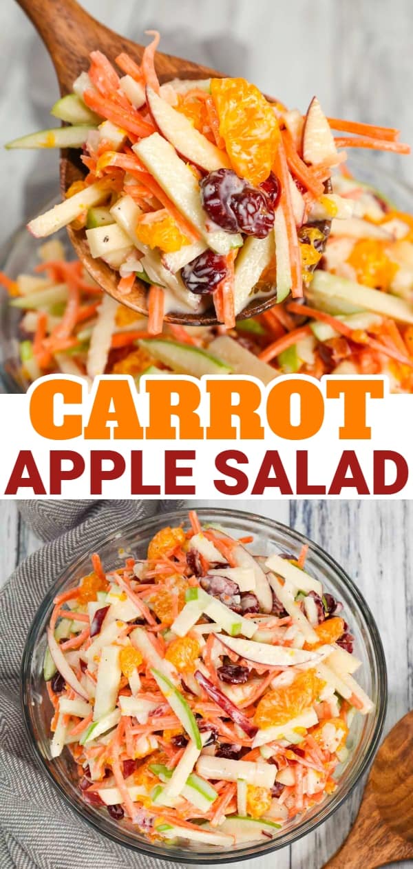 Carrot Apple Salad is a delicious and colourful salad loaded with sliced red and green apples, carrots, dried cranberries and mandarins all tossed in a vanilla yogurt and mayo dressing.