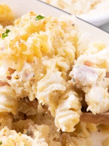 Ham and Noodle Casserole is a hearty casserole loaded with rotini pasta and diced ham all coated in a cheesy bubbling sauce under a parmesan coated panko crust.