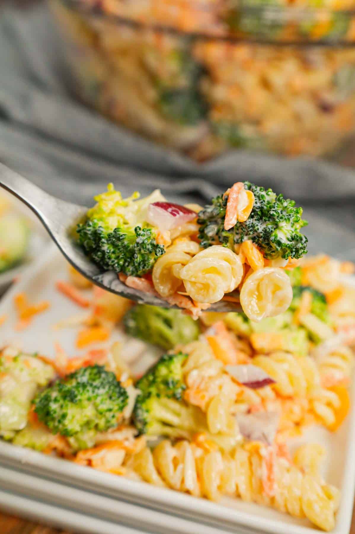 Broccoli Cheddar Pasta Salad is a tasty cold side dish recipe loaded with rotini pasta, broccoli florets, red onions, shredded carrots, cheddar cheese and parmesan all tossed in a mayo and ranch dressing mixture.