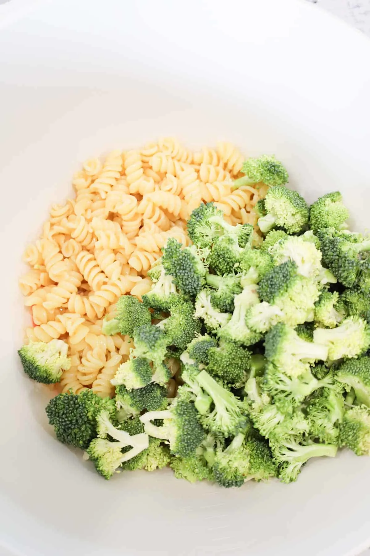 cooked rotini noodles and chopped broccoli florets in a bowl