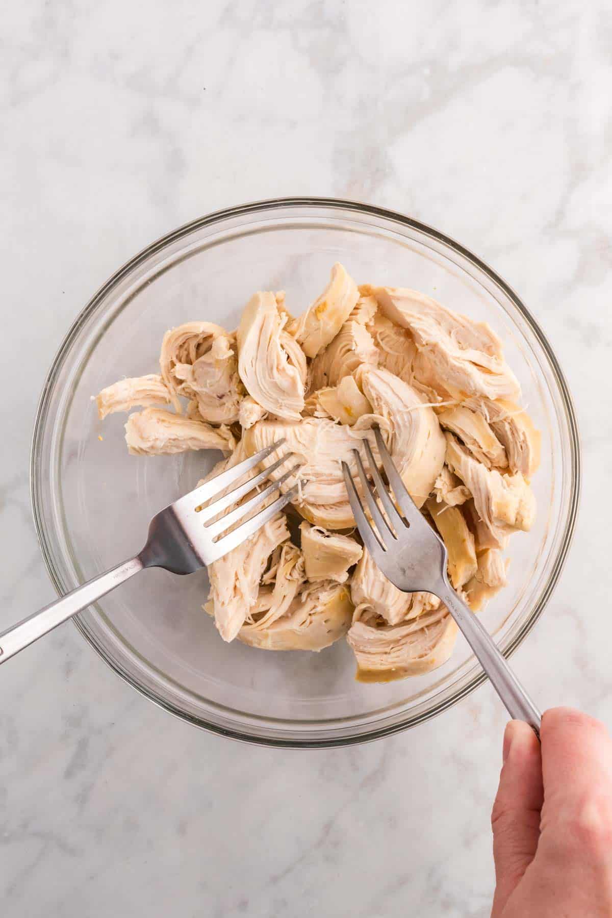 using forks to shred chicken breast in a bowl