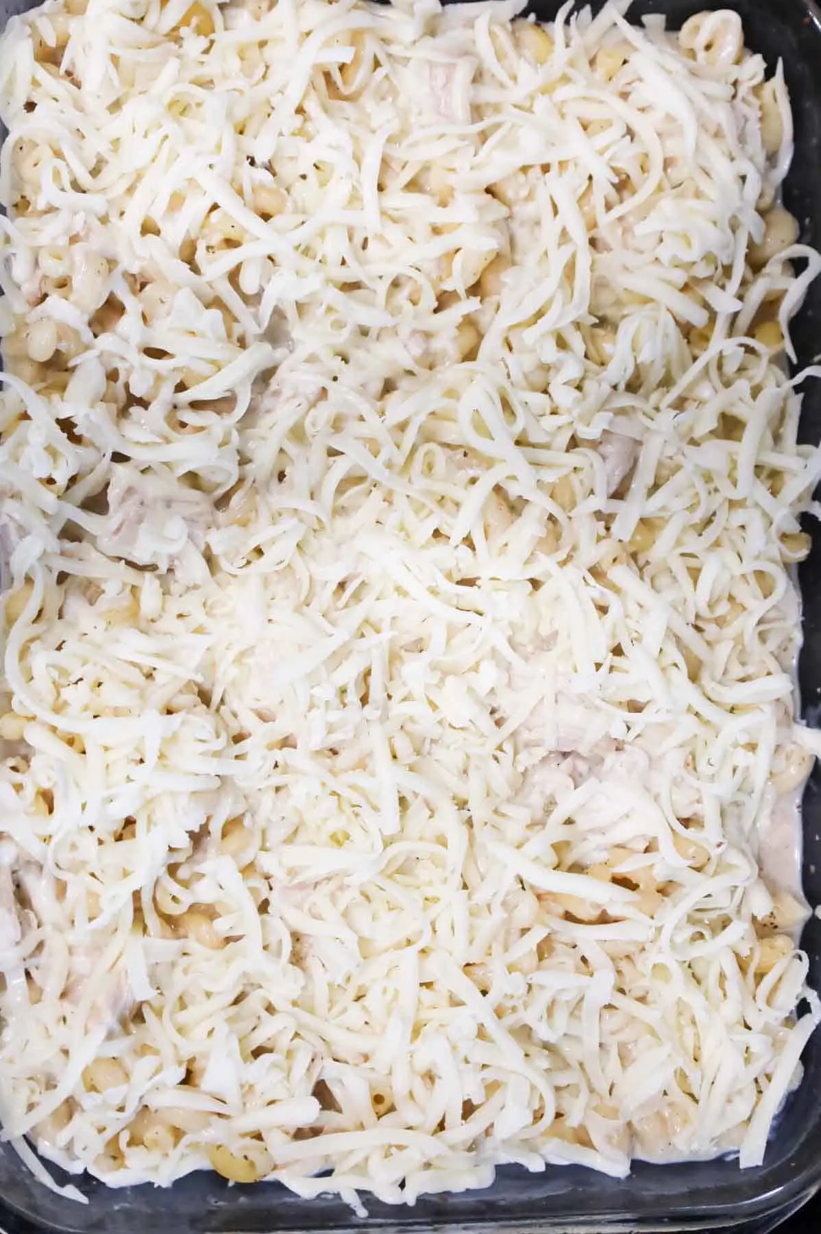 shredded mozzarella cheese on top of chicken alfredo pasta in a baking dish