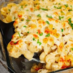 Dump and Bake Chicken Alfredo is an easy one dish meal made with cavatappi pasta, jarred alfredo sauce, condensed cream of bacon soup, chicken broth, chopped rotisserie chicken and mozzarella cheese.