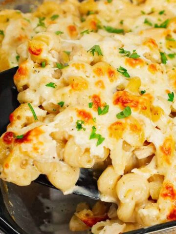 Dump and Bake Chicken Alfredo is an easy one dish meal made with cavatappi pasta, jarred alfredo sauce, condensed cream of bacon soup, chicken broth, chopped rotisserie chicken and mozzarella cheese.