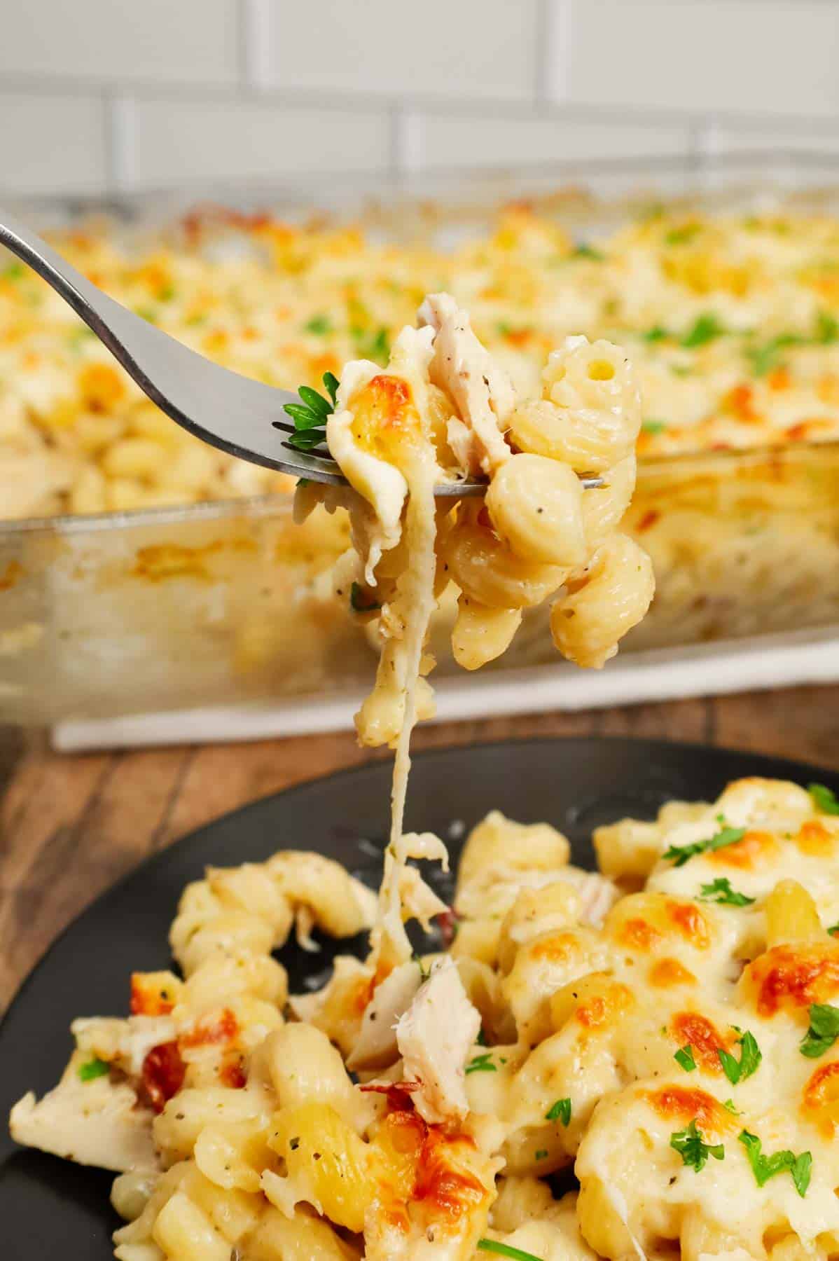 Dump and Bake Chicken Alfredo is an easy one dish meal made with cavatappi pasta, jarred alfredo sauce, condensed cream of bacon soup, chicken broth, chopped rotisserie chicken and mozzarella cheese.