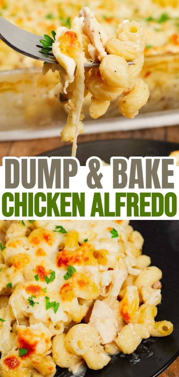 Dump and Bake Chicken Alfredo is an easy one dish meal made with cavatappi pasta, jarred alfredo sauce, condensed cream of bacon soup, chicken broth, chopped rotisserie chicken and mozzarella cheese.