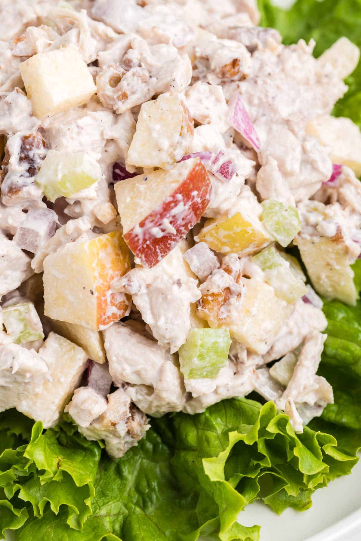 Apple Walnut Chicken Salad is a tasty lunch or dinner recipe using diced chicken, apples, chopped walnuts, celery and red onions all coated in a creamy mayo and sour cream based dressing.