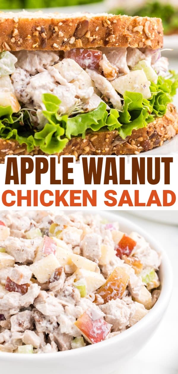 Apple Walnut Chicken Salad is a tasty lunch or dinner recipe using diced chicken, apples, chopped walnuts, celery and red onions all coated in a creamy mayo and sour cream based dressing.