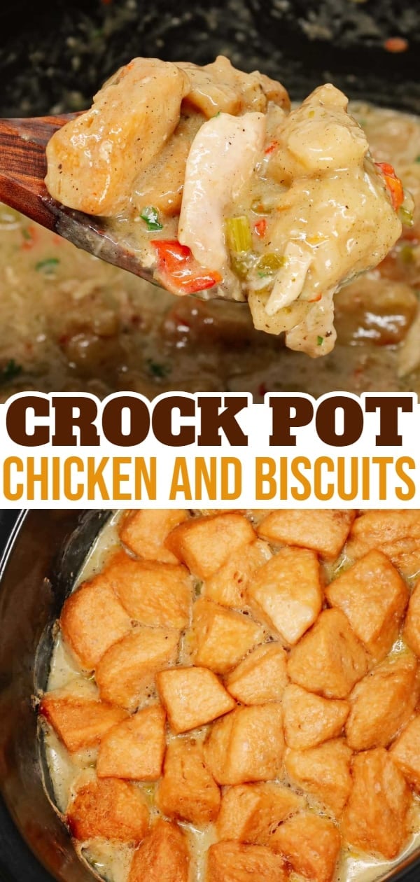 Crock Pot Chicken and Biscuits is a delicious comfort food dish made with boneless skinless chicken thighs, diced onions, celery, red and green bell peppers, cream of mushroom soup, cream of chicken soup, poultry seasoning and Pillsbury refrigerated biscuits.