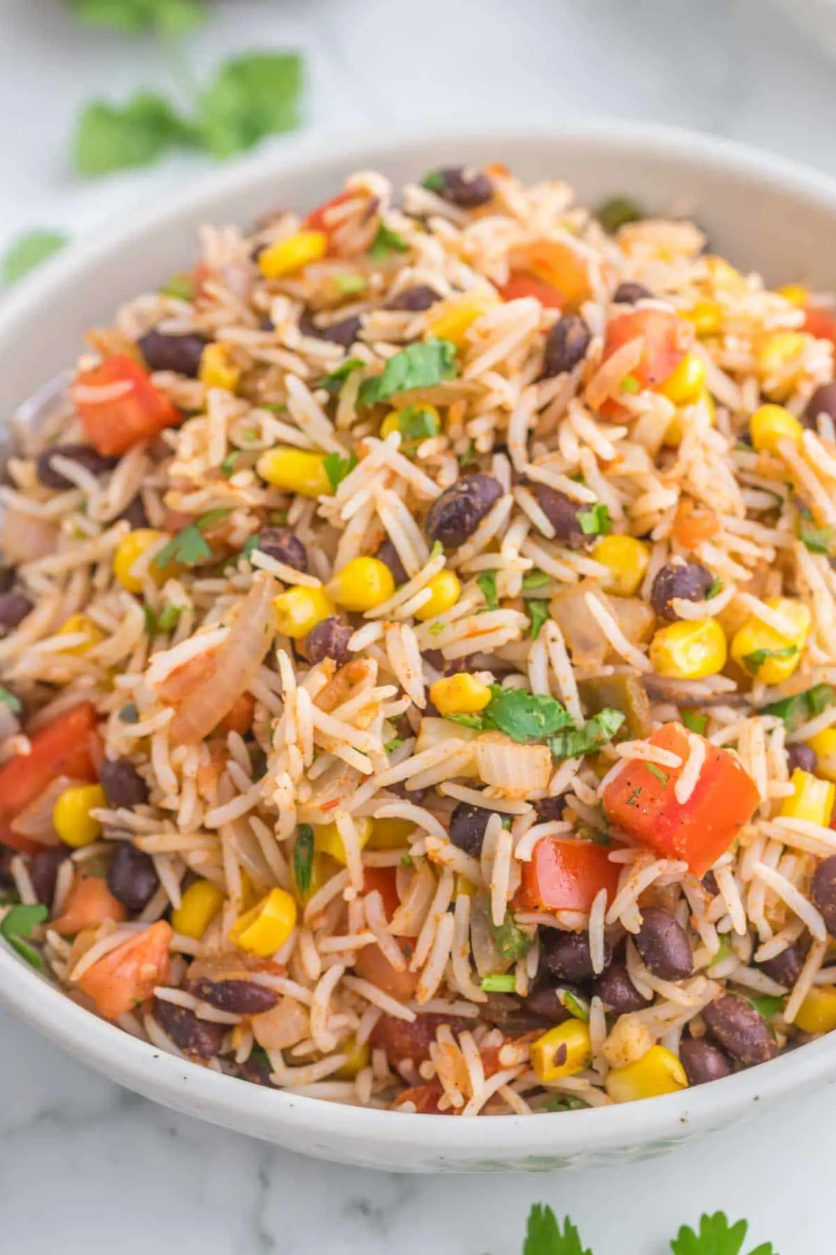 Mexican Fried Rice is a flavourful side dish loaded with onions, tomatoes, corn, black beans and salsa.