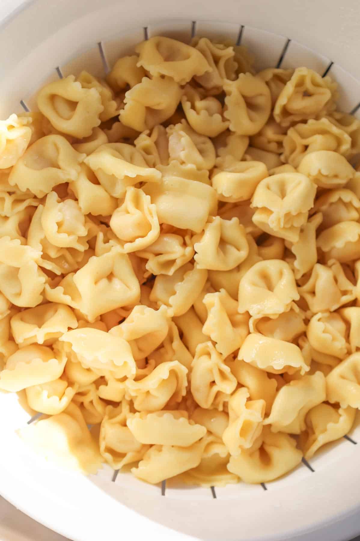 cooked tortellini in a colander