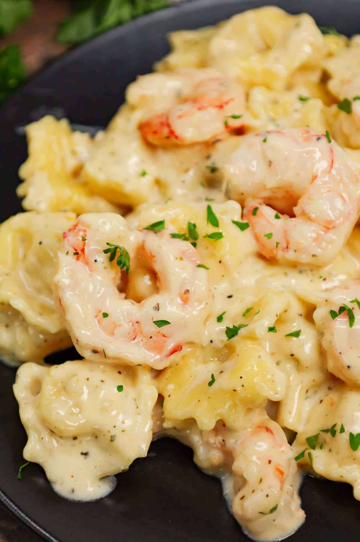 Shrimp Tortellini Alfredo is a delicious seafood pasta recipe with cheese tortellini and tender shrimp all tossed in a creamy garlic parmesan sauce.