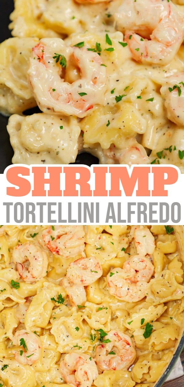 Shrimp Tortellini Alfredo is a delicious seafood pasta recipe with cheese tortellini and tender shrimp all tossed in a creamy garlic parmesan sauce.