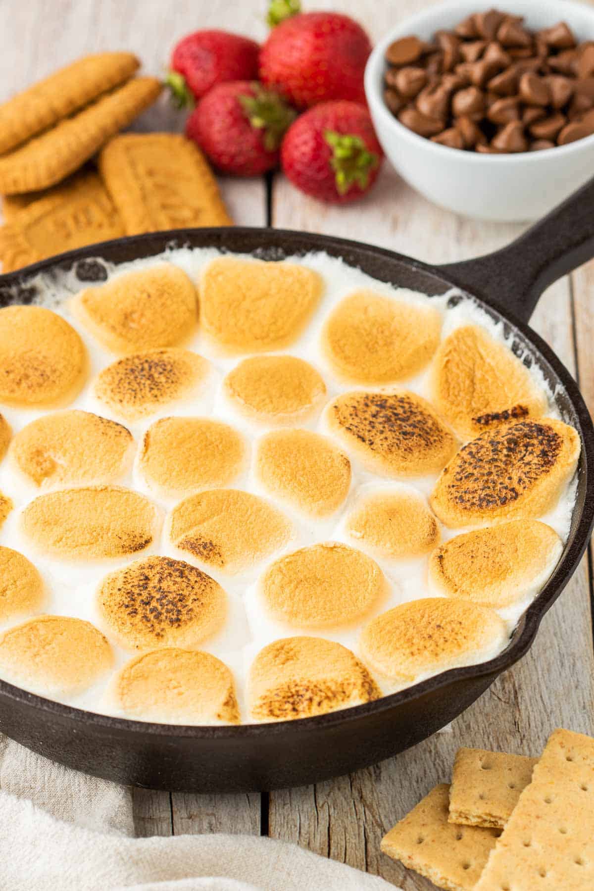 S'mores Dip is a simple and delicious dessert with a base of melted chocolate and topped with gooey toasted marshmallows perfect for scooping up with graham crackers, pretzels, cookies and fresh strawberries.