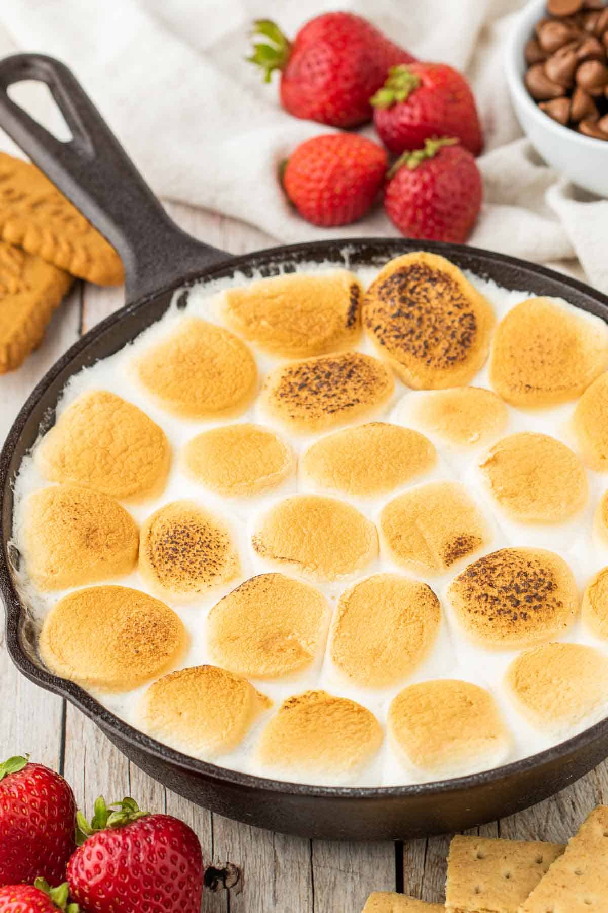 S'mores Dip is a simple and delicious dessert with a base of melted chocolate and topped with gooey toasted marshmallows perfect for scooping up with graham crackers, pretzels, cookies and fresh strawberries.