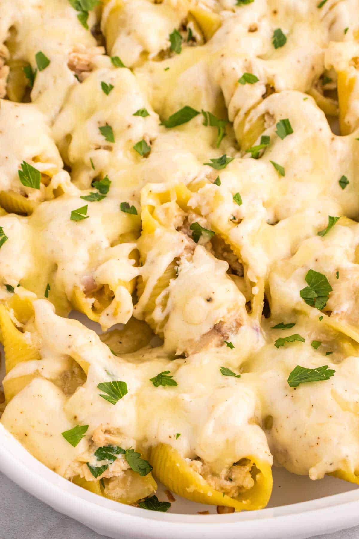 Tuna Stuffed Shells are delicious jumbo pasta shells stuffed with tuna, ricotta, parmesan and mozzarella and smothered in a creamy garlic sauce.