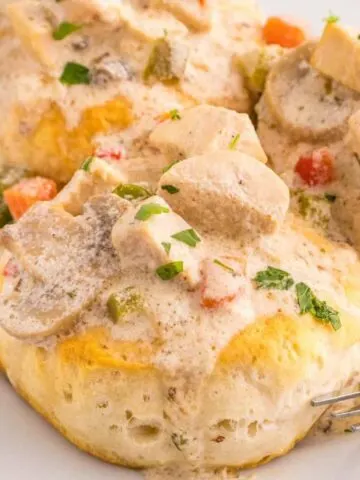 Crock Pot Chicken a la King is an easy slow cooker chicken dinner recipe loaded with chunks of chicken, bell peppers, mushrooms, peas, carrots and pimentos all in a creamy sauce that can be served over biscuits, rice or noodles.