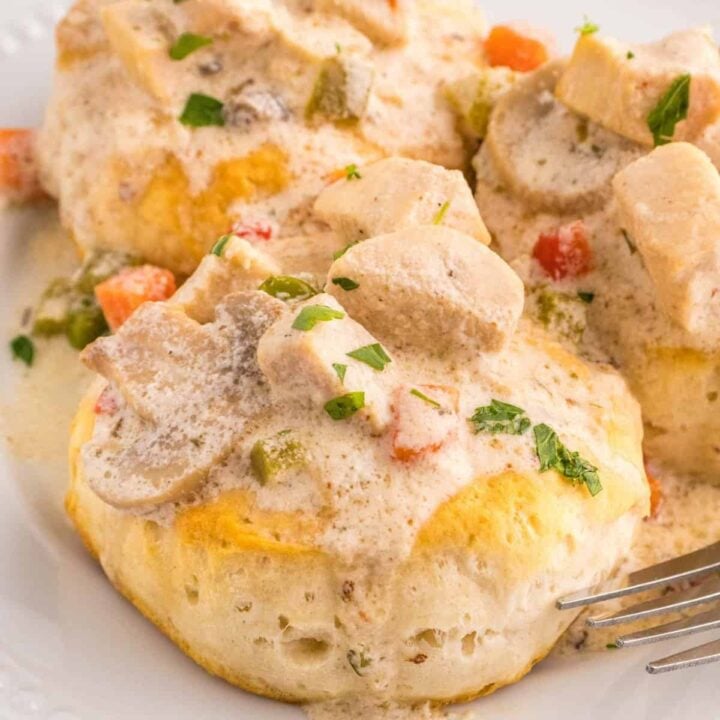 Crock Pot Chicken a la King is an easy slow cooker chicken dinner recipe loaded with chunks of chicken, bell peppers, mushrooms, peas, carrots and pimentos all in a creamy sauce that can be served over biscuits, rice or noodles.