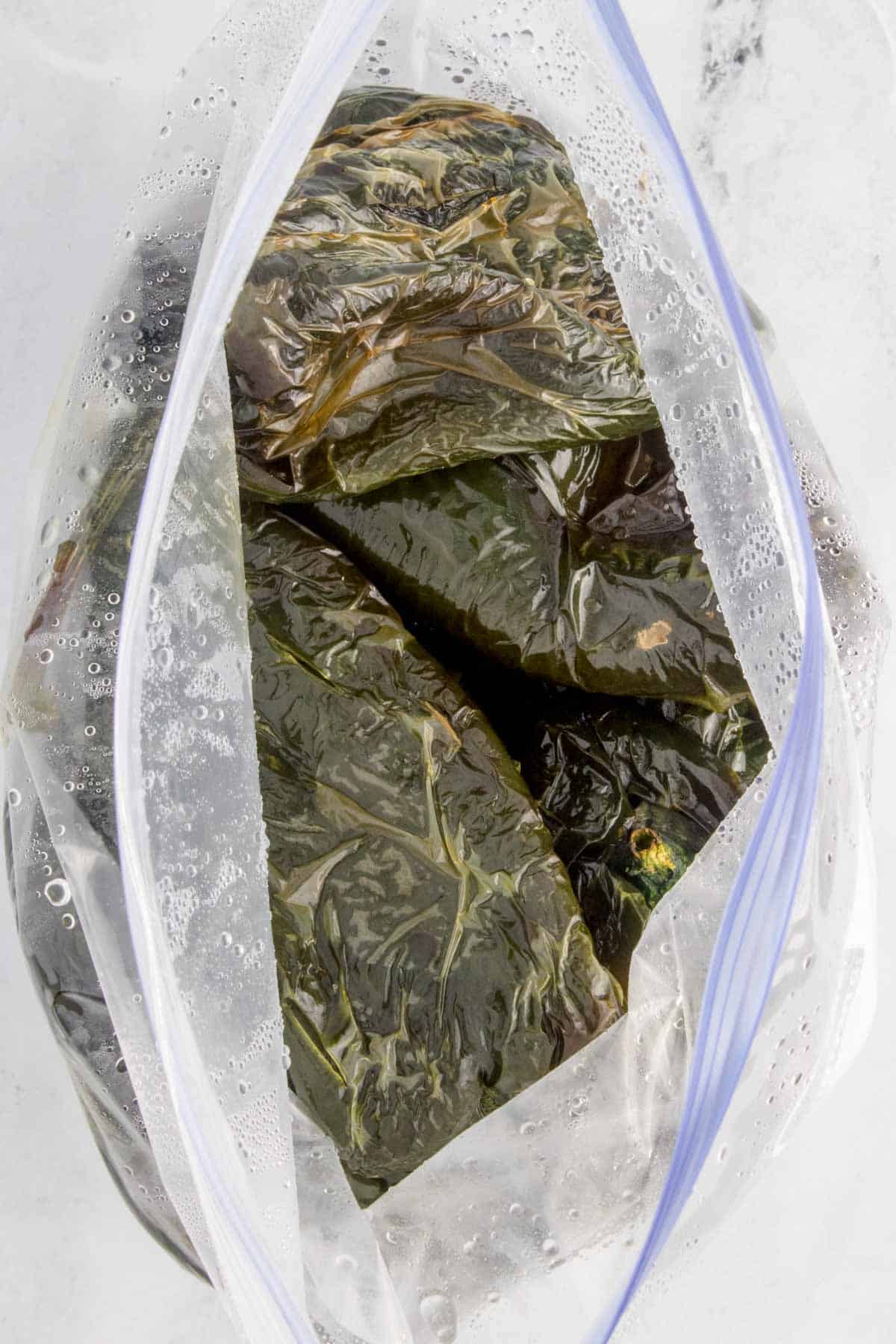 roasted poblano peppers in a Ziploc bag