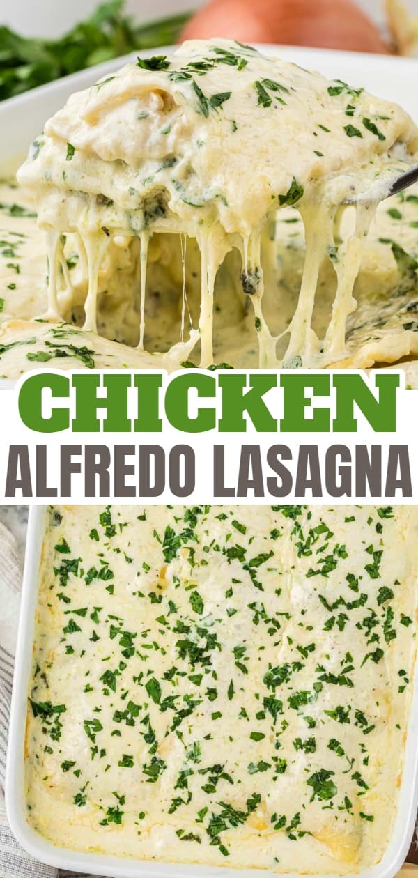 Chicken Alfredo Lasagna is a rich and delicious meal with layers of noodles, ricotta cheese, shredded chicken, mozzarella, sautéed spinach and mushrooms and a creamy Alfredo sauce.