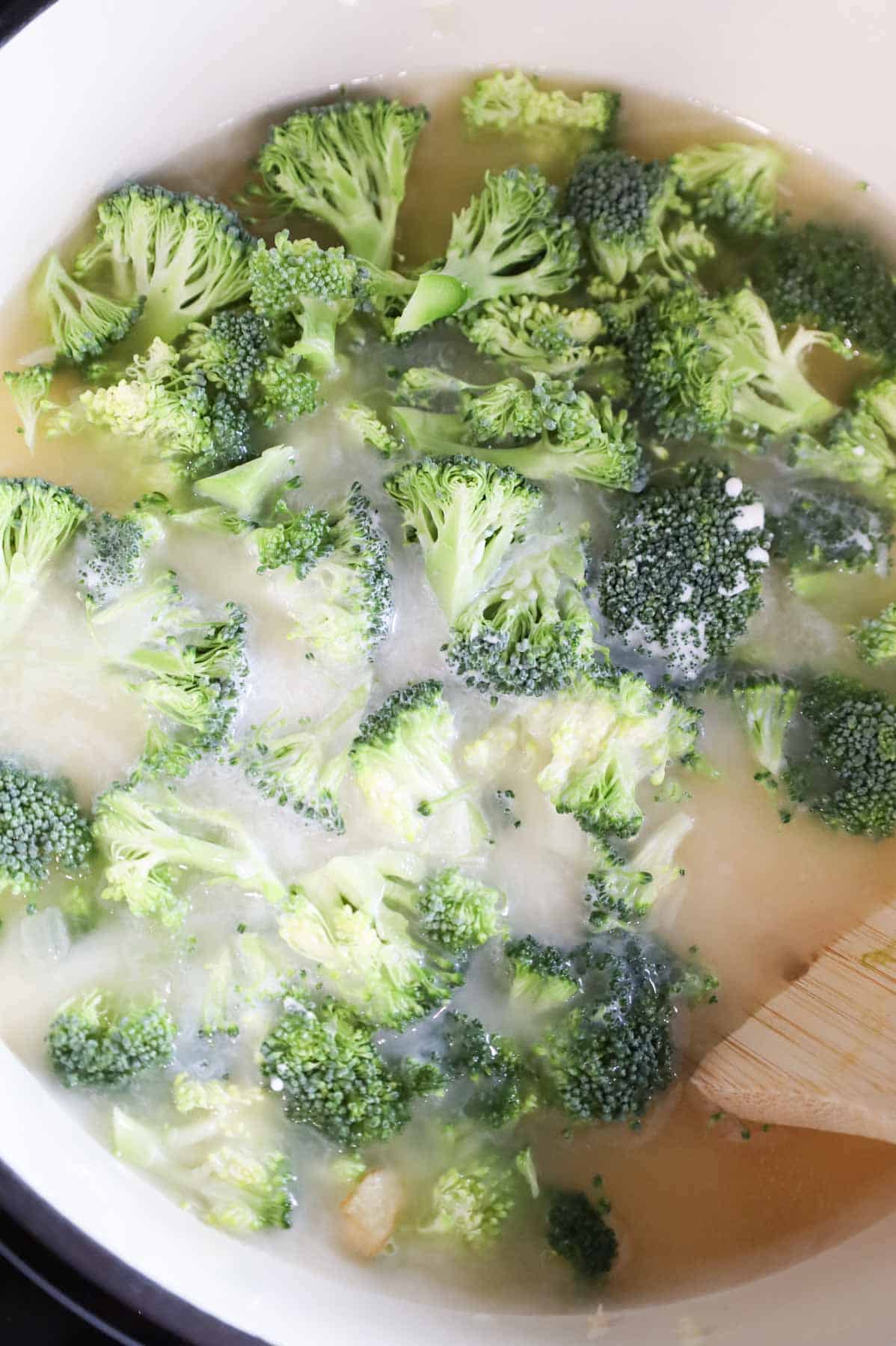 half and half, broth and broccoli florets in a Dutch oven
