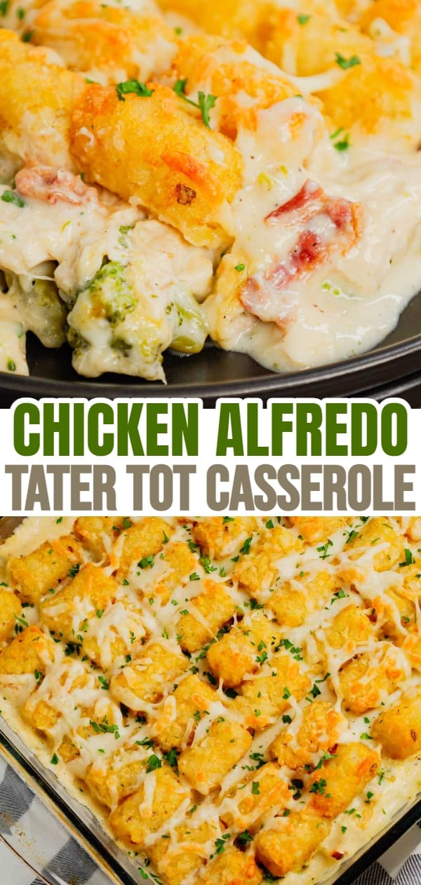 Chicken Alfredo Tater Tot Casserole is a hearty dish loaded with shredded rotisserie chicken, chopped bacon, broccoli, Alfredo sauce, parmesan and mozzarella topped with tater tots baked until golden brown and crispy.