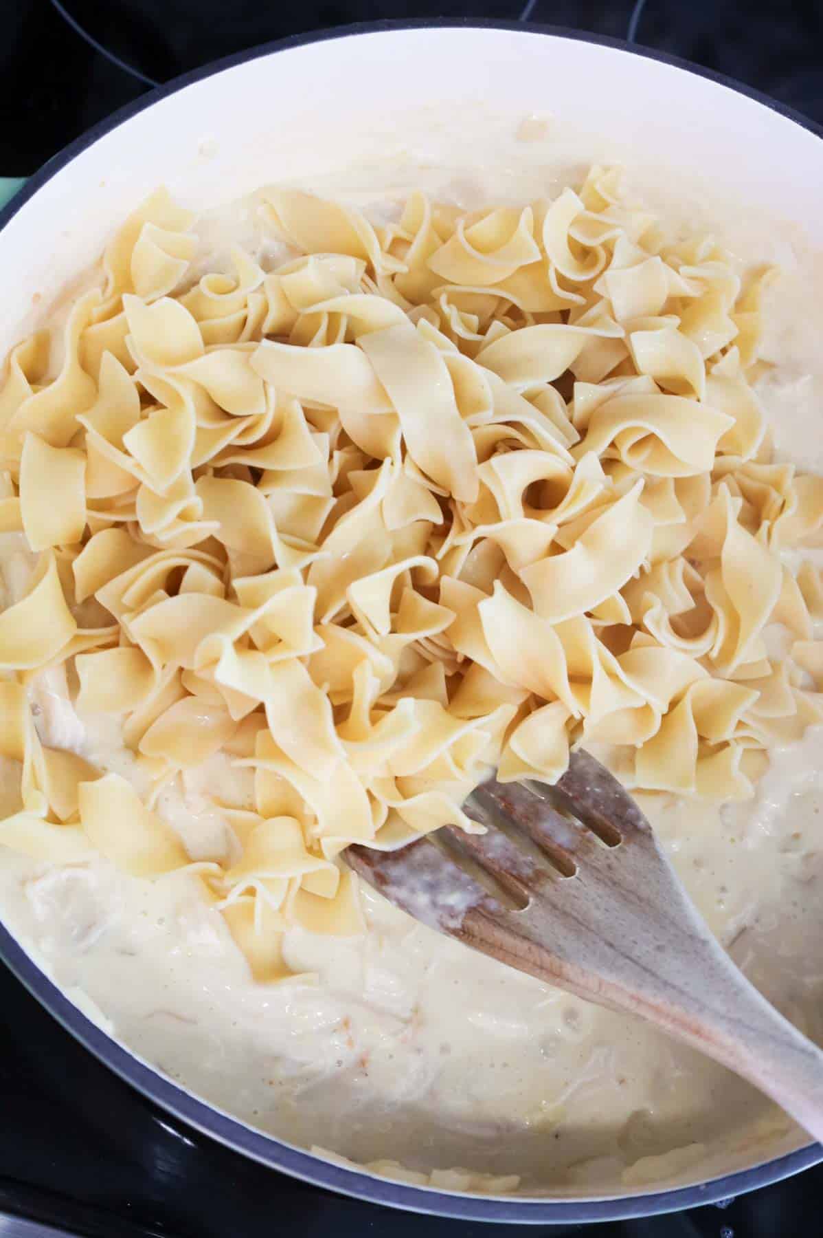 cooked egg noodles added to skillet with creamy chicken mixture