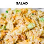 This Cheddar Bacon Ranch Pasta Salad is the ultimate summer side dish! Packed with crispy bacon, shredded cheddar, green onions, and a creamy ranch dressing, it’s a guaranteed crowd-pleaser. And don’t forget the crumbled potato chips on top for the perfect crunch! 🧀🥓🥗 #PastaSalad #EasyRecipes #BBQFood #SummerEats #CheesyGoodness