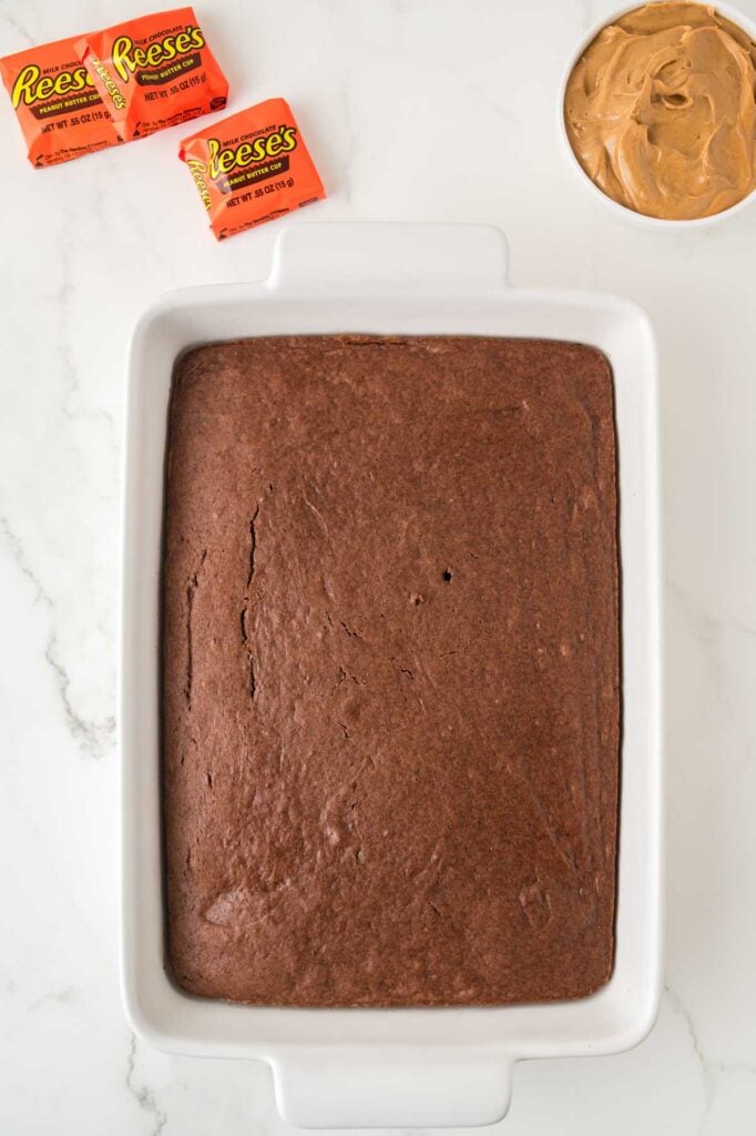 chocolate cake in a 9 x 13 inch baking dish