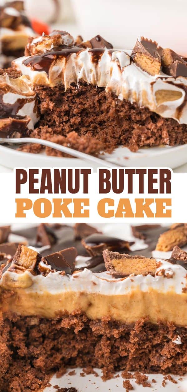 Peanut Butter Poke Cake is a delightfully rich and moist cake that is perfect for chocolate and peanut butter lovers. This easy cake recipe uses a boxed chocolate cake mix, vanilla pudding mix and creamy peanut butter and is topped with Cool Whip and chopped Reese's peanut butter cups.