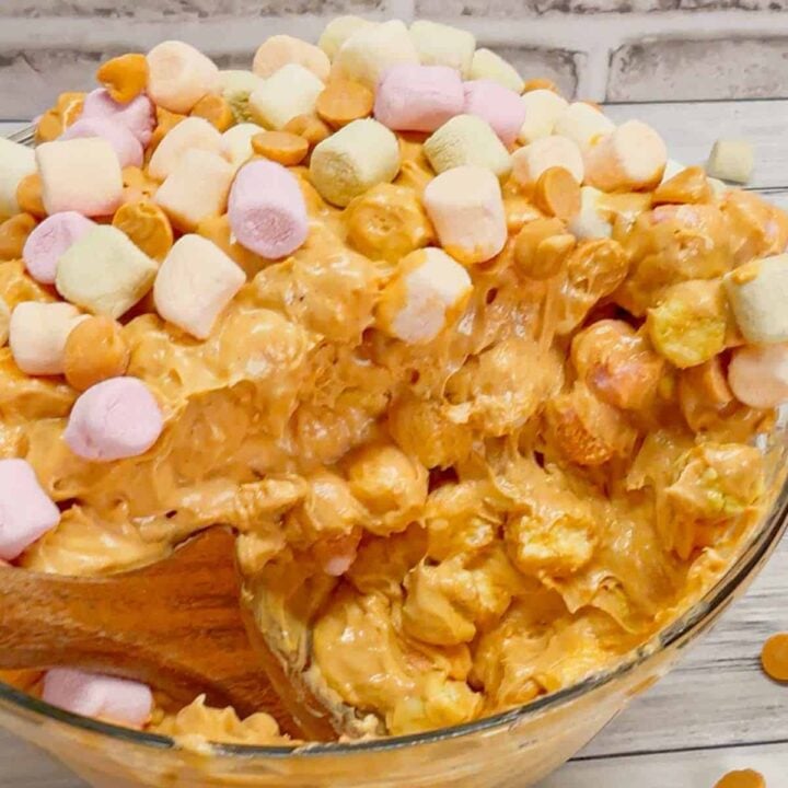 Peanut Butter Butterscotch Confetti Fluff is an easy no bake dessert recipe perfect for potlucks and gatherings. This tasty dessert made with butterscotch pudding, cream cheese, peanut butter, Cool Whip, butterscotch chips and colourful mini marshmallows is inspired by the classic peanut butter butterscotch marshmallow squares we all love.