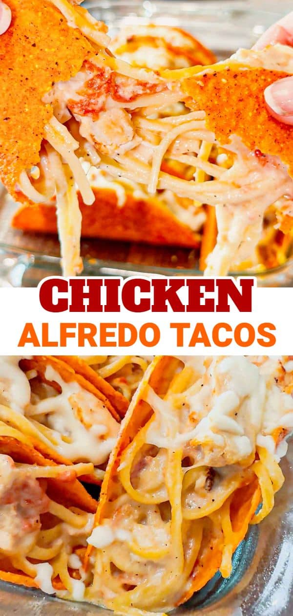 Chicken Alfredo Tacos are a fun and easy dinner recipe perfect for busy weeknights. Cheesy Blasted Stand N Stuff taco shells are stuffed with creamy linguine alfredo loaded with grilled chicken chunks, Rotel and mozzarella cheese.