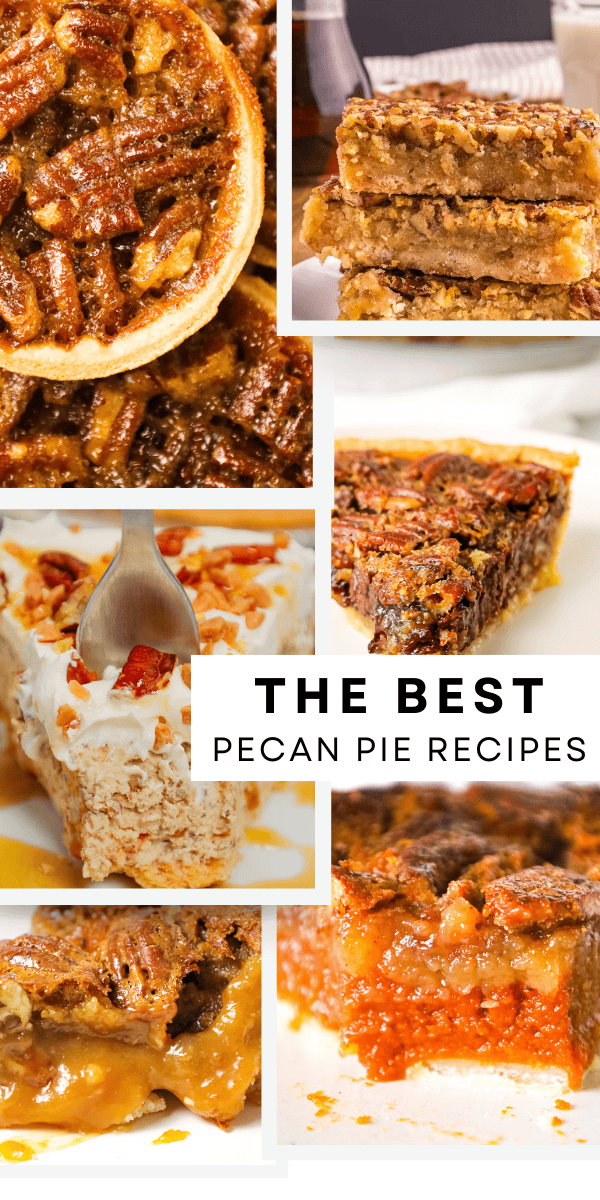 The Best Pecan Pie Recipes for Thanksgiving and Christmas including a no bake pecan cream pie, caramel pecan pie, chocolate chip pecan pie, pecan pie cobbler, pumpkin pecan pie and pecan tarts.