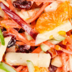 Carrot Apple Salad is a delicious and colourful salad loaded with sliced red and green apples, carrots, dried cranberries and mandarins all tossed in a vanilla yogurt and mayo dressing. This festive side dish is perfect for holiday dinners like Thanksgiving and Christmas as well as summer potlucks