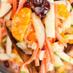 Carrot Apple Salad is a delicious and colourful salad loaded with sliced red and green apples, carrots, dried cranberries and mandarins all tossed in a vanilla yogurt and mayo dressing. This festive side dish is perfect for holiday dinners like Thanksgiving and Christmas as well as summer potlucks