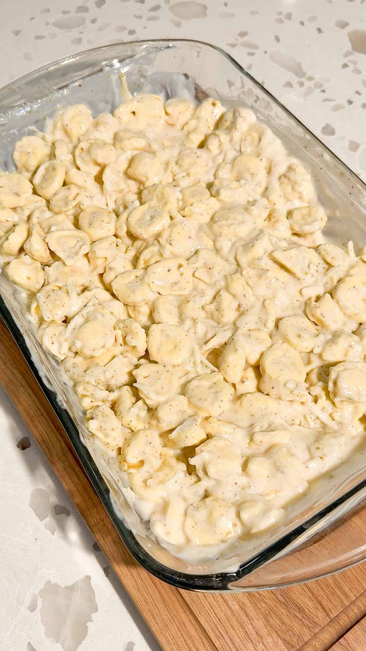 tortellini tossed in alfredo sauce in a baking dish