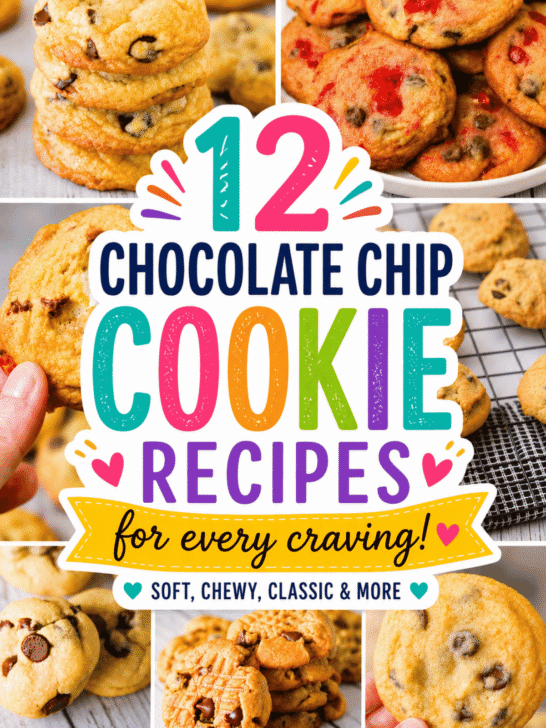 If you're searching for the Best Cookie Recipes, this roundup of 12 irresistible treats has you covered. From Bakery Style Chocolate Chip Cookies with crispy edges and chewy centers to soft, fluffy classics and rich Chocolate Chip Desserts, there's something here for every cookie lover. Whether you need Cookie Ideas for parties, picnics, holidays, or everyday baking, these recipes deliver amazing results. You'll find Homemade Cookies, Cookie Dough Recipes, thick bakery-style favorites, and fun twists like Pumpkin Chip Cookies. If you love Chocolate Chip Recipes, Easy Cookie Recipes, and discovering the Best Chocolate Chip Cookie Recipe Ever, this collection belongs on your baking list.
