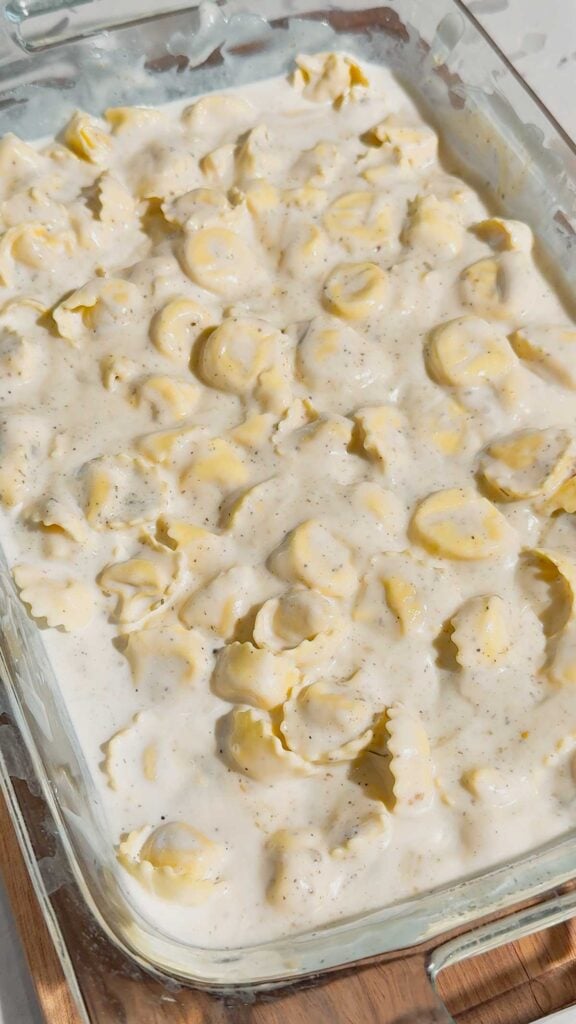 tortellini alfredo in a baking dish