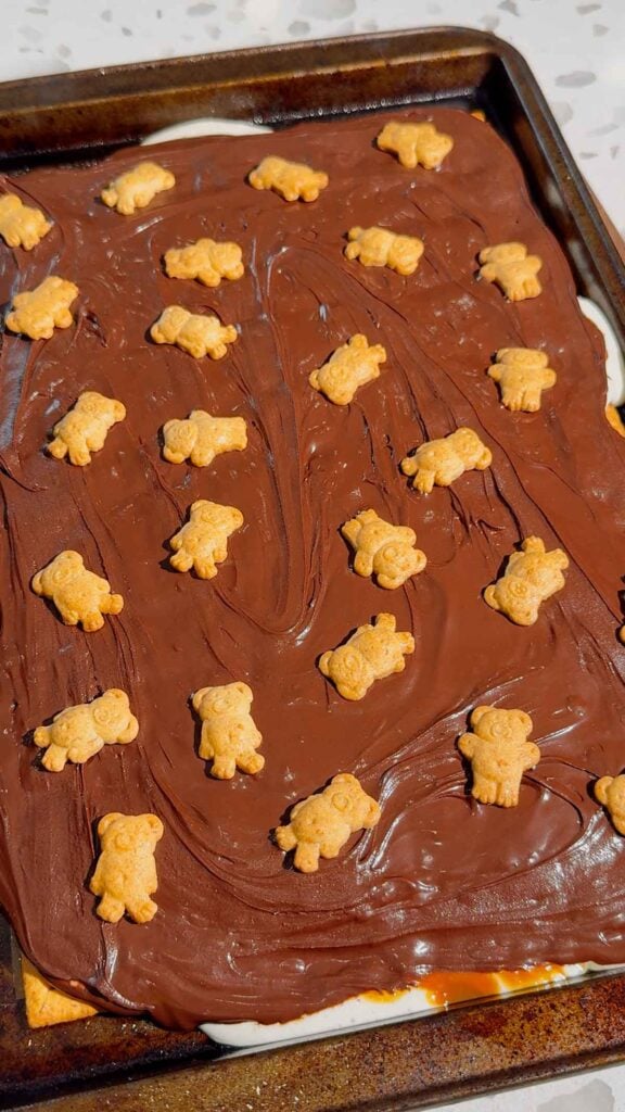 Teddy Grahams placed on top of chocolate s'mroes bars
