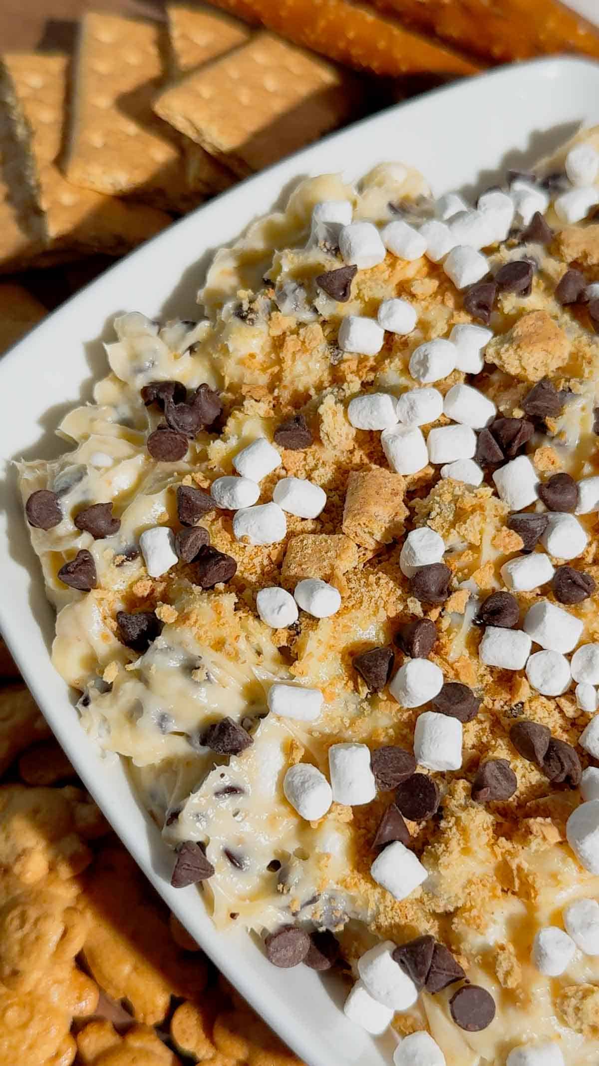 Looking for the ultimate S'mores Cookie Dough Dip to impress a crowd? This easy no bake dessert dip is rich, creamy, and loaded with mini chocolate chips, graham cracker crumbs, and marshmallows for that classic campfire flavor everyone loves. Perfect for Dessert Dips, No Bake Desserts, Easy Party Desserts, Cookie Dough Dip, S'mores Dessert Recipes, Summer Dessert Ideas, Sweet Dip Recipes, Holiday Dessert Ideas, Potluck Desserts, Game Day Desserts, Easy Dessert Recipes, and Fun Family Treats. Serve it with graham crackers, vanilla wafers, pretzels, strawberries, or apple slices for an irresistible dessert platter that's ready in only 10 minutes. Save this quick and easy dessert recipe for your next party, BBQ, movie night, or family gathering!