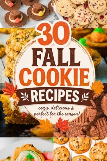 Looking for Fall Themed Cookies, Autumn Cookie Recipes, and Fall Baking Recipes? This roundup of 30 Fall Cookie Recipes is loaded with cozy ideas for cookie season. From Pumpkin Chocolate Chip Cookies and Pumpkin Spice Cookies to Apple Crisp Cookie treats, Maple Cookies, Pecan Cookies, and caramel favorites, there is something for every craving. You’ll find inspiration for Fall Themed Desserts, Fall Sweet Treats, Fall Baking, and creative Cookie Ideas that feel right at home from September through Thanksgiving. Save this roundup for November Baking, Thanksgiving Cookie Recipes, Halloween treats, bake sales, parties, and cozy weekends when you want fresh Fall Baked Goods. Add these easy Fall Baking Recipes to your seasonal must-bake list for cozy desserts everyone will want to try.