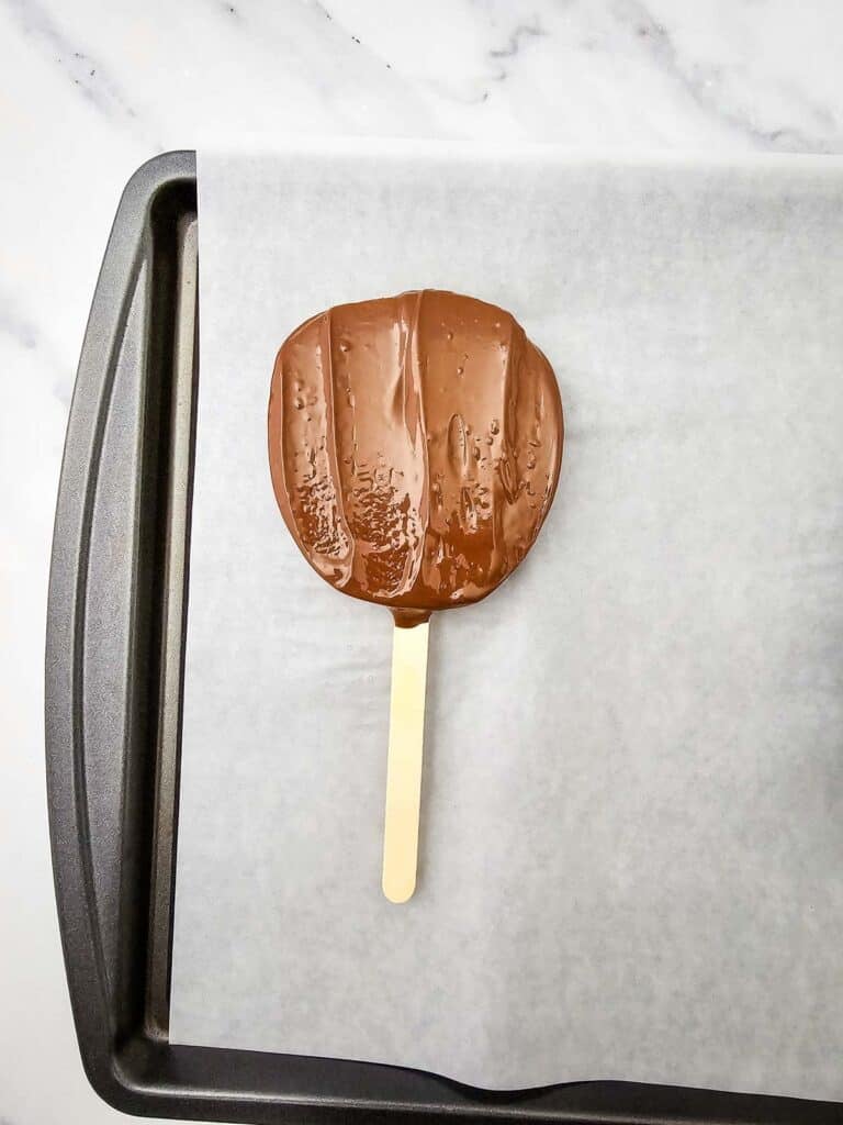 chocolate coated apple slices on a stick