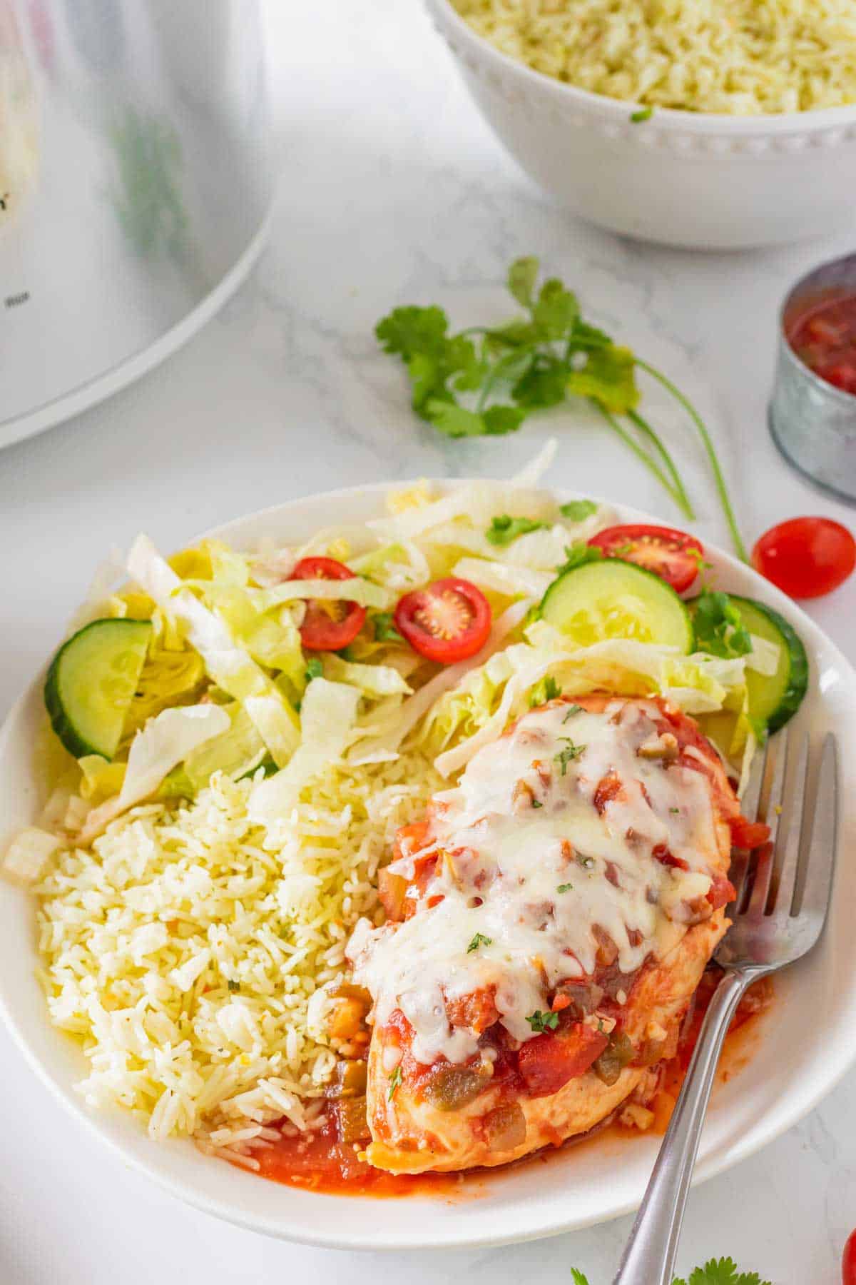 This Crockpot Chicken Salsa is an easy slow cooker dinner for busy weeknights! Tender chicken breasts cook low and slow with flavorful salsa, then get topped with melty Monterey Jack cheese for a simple meal the whole family will love. This easy salsa chicken recipe uses just a handful of ingredients and is perfect for tacos, burrito bowls, rice bowls, nachos, or serving with Mexican-inspired side dishes. If you love easy crockpot chicken recipes, slow cooker salsa chicken, dump and go dinners, simple chicken breast recipes, and family friendly meals, this one belongs on your menu. Customize it with spicy salsa, jalapeños, corn, peppers, avocado, sour cream, cilantro, or lime. Save this Crockpot Salsa Chicken recipe for an easy weeknight dinner, meal prep lunch, or fuss-free family meal!