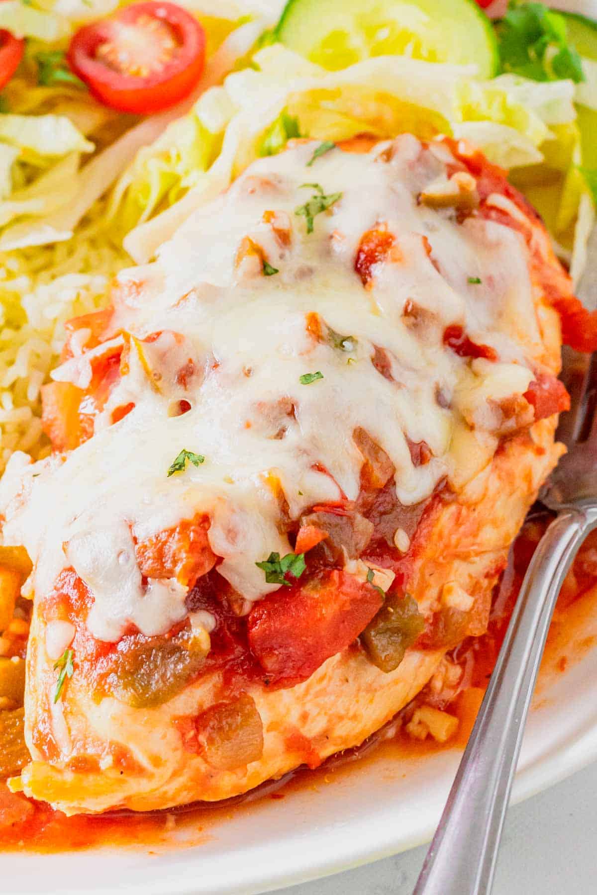 This Crockpot Chicken Salsa is an easy slow cooker dinner for busy weeknights! Tender chicken breasts cook low and slow with flavorful salsa, then get topped with melty Monterey Jack cheese for a simple meal the whole family will love. This easy salsa chicken recipe uses just a handful of ingredients and is perfect for tacos, burrito bowls, rice bowls, nachos, or serving with Mexican-inspired side dishes. If you love easy crockpot chicken recipes, slow cooker salsa chicken, dump and go dinners, simple chicken breast recipes, and family friendly meals, this one belongs on your menu. Customize it with spicy salsa, jalapeños, corn, peppers, avocado, sour cream, cilantro, or lime. Save this Crockpot Salsa Chicken recipe for an easy weeknight dinner, meal prep lunch, or fuss-free family meal!