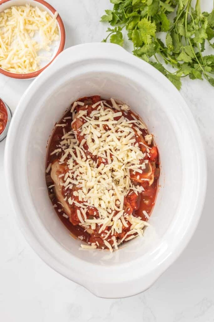 shredded monterey jack sprinkled on top of cooked salsa chicken in the slow cooker