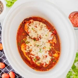 This Crockpot Chicken Salsa is an easy slow cooker dinner for busy weeknights! Tender chicken breasts cook low and slow with flavorful salsa, then get topped with melty Monterey Jack cheese for a simple meal the whole family will love. This easy salsa chicken recipe uses just a handful of ingredients and is perfect for tacos, burrito bowls, rice bowls, nachos, or serving with Mexican-inspired side dishes. If you love easy crockpot chicken recipes, slow cooker salsa chicken, dump and go dinners, simple chicken breast recipes, and family friendly meals, this one belongs on your menu. Customize it with spicy salsa, jalapeños, corn, peppers, avocado, sour cream, cilantro, or lime. Save this Crockpot Salsa Chicken recipe for an easy weeknight dinner, meal prep lunch, or fuss-free family meal!
